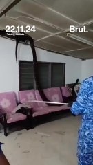 Un serpent tombe du toit de sa maison