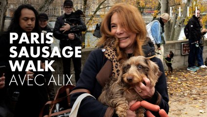 Paris Sausage Walk : une horde de teckels réunis pour une marche