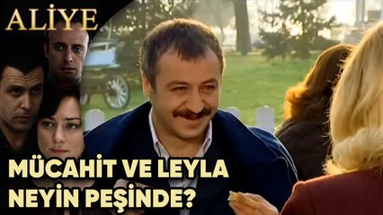 Mücahit ve Leyla Neyin Peşinde? - Aliye 19.Bölüm