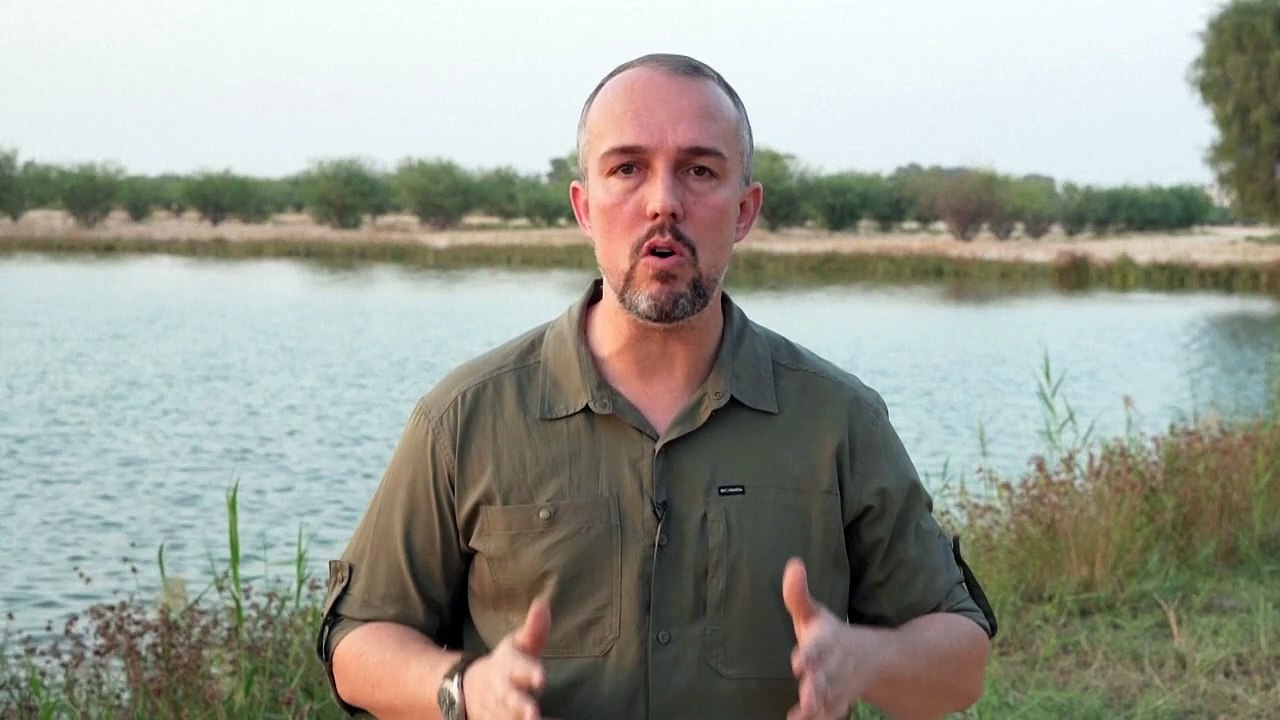 Eksotis! Hewan Argentina Berkeliaran di Gurun Dubai