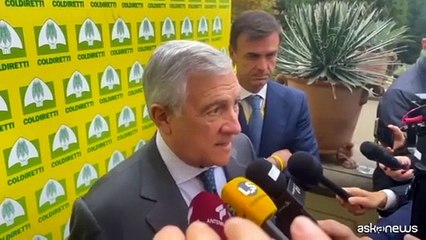 Tajani: dazi aiutano la Cina, lo spiegheremo a Trump