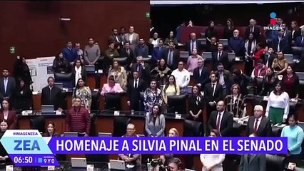 El Senado guarda un minuto de silencio en memoria de Silvia Pinal