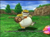 Dragon Quest : L'Odyssée du Roi Maudit online multiplayer - ps2