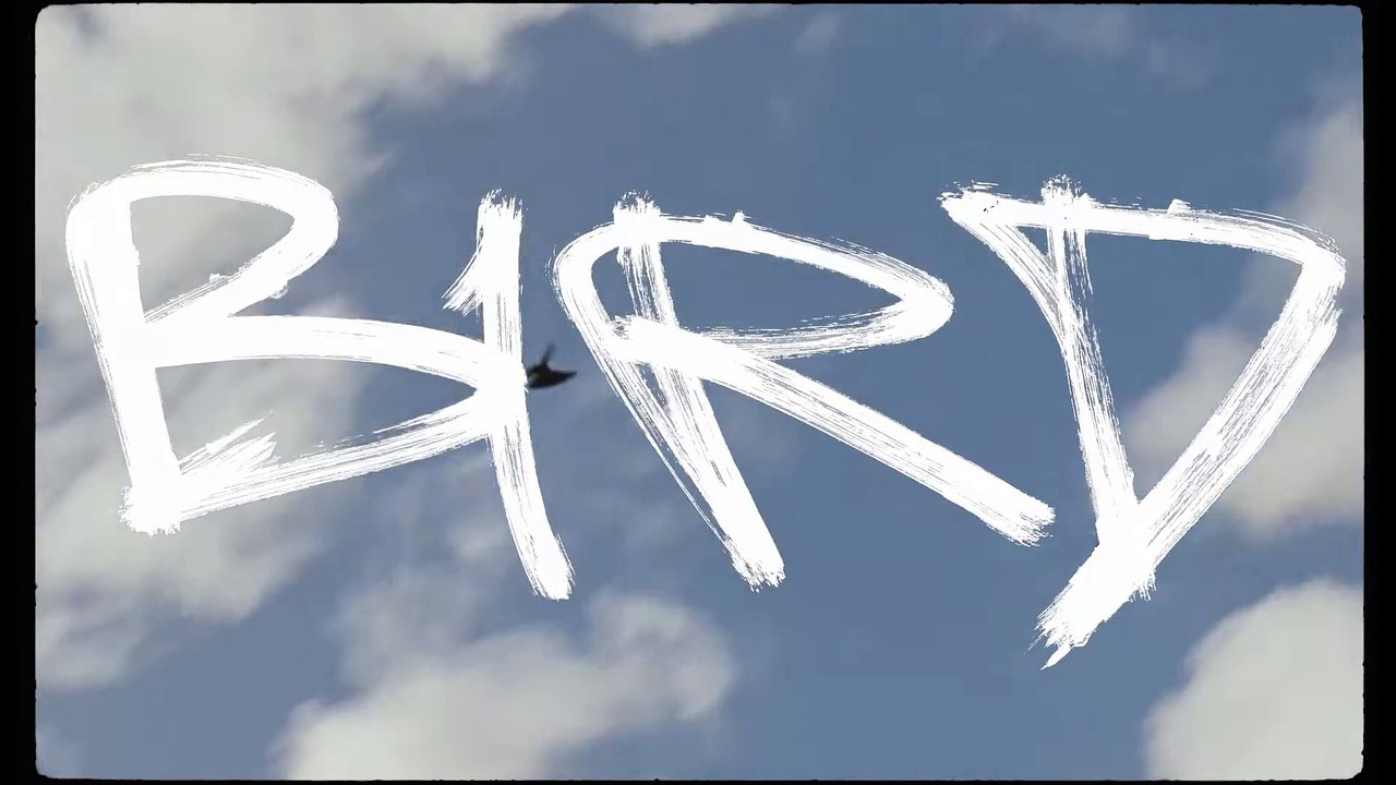 Bird - Spot