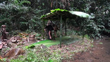 EP.242 - Abrigo de sobrevivência de bambu, pesca em riachos, captura e cozimento