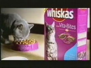 WHISKAS - Saut à l'elastique