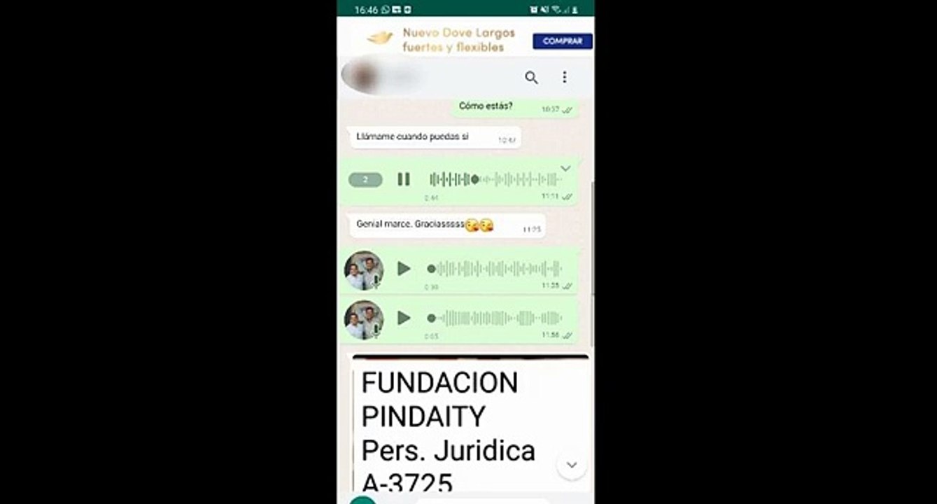 Audio de un chat atribuido al expte del IFAI con una muje de la fundación Pindaity