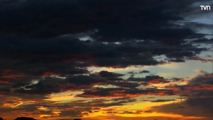 Genesis Capitulo 114 En Español Latino-HD