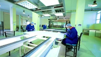 لقاء  مع بعض العالمين بالشركة العربية للطاقة المتجددة حول كيفية الصيانة الدورية ومراحل الانتاج