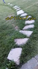 Wo Dil per khanjar 🗡️ maar kar Khush hain