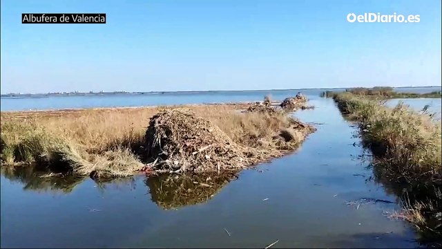Residuos vertidos por la riada en la Albufera