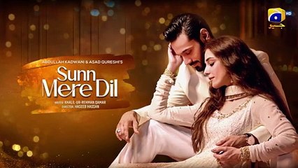 Sunn Mere Dil Episode 18 Teaser - 29th November 2024 - Har Pal Geo(360P)
