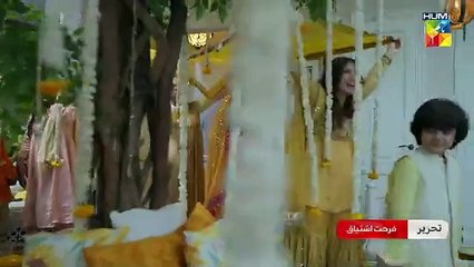 Jafaa - Ep 28 - 29th Nov 2024  - HUM TV