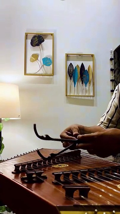 Shot video music