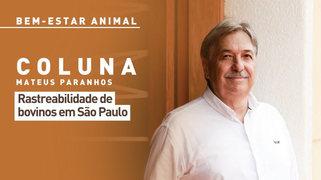 Bem-estar Animal: rastreabilidade de bovinos e bubalinos em São Paulo