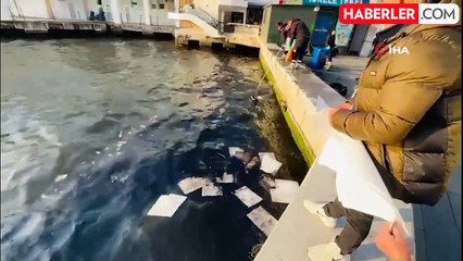 İzmir Körfezi'nde Petrol Kaynaklı Kirlilik: Deniz Yüzeyi Yağ Tabakası ile Kaplandı