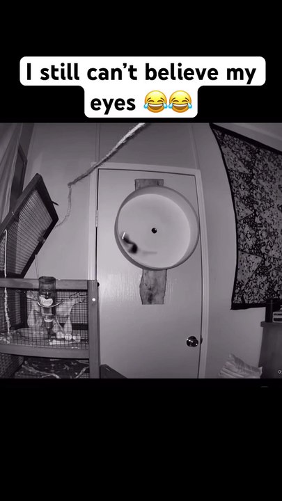 I Caught Unbelievable Things On Camera | JestNest