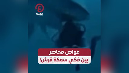غواص محاصر بين فكي سمكة قرش!