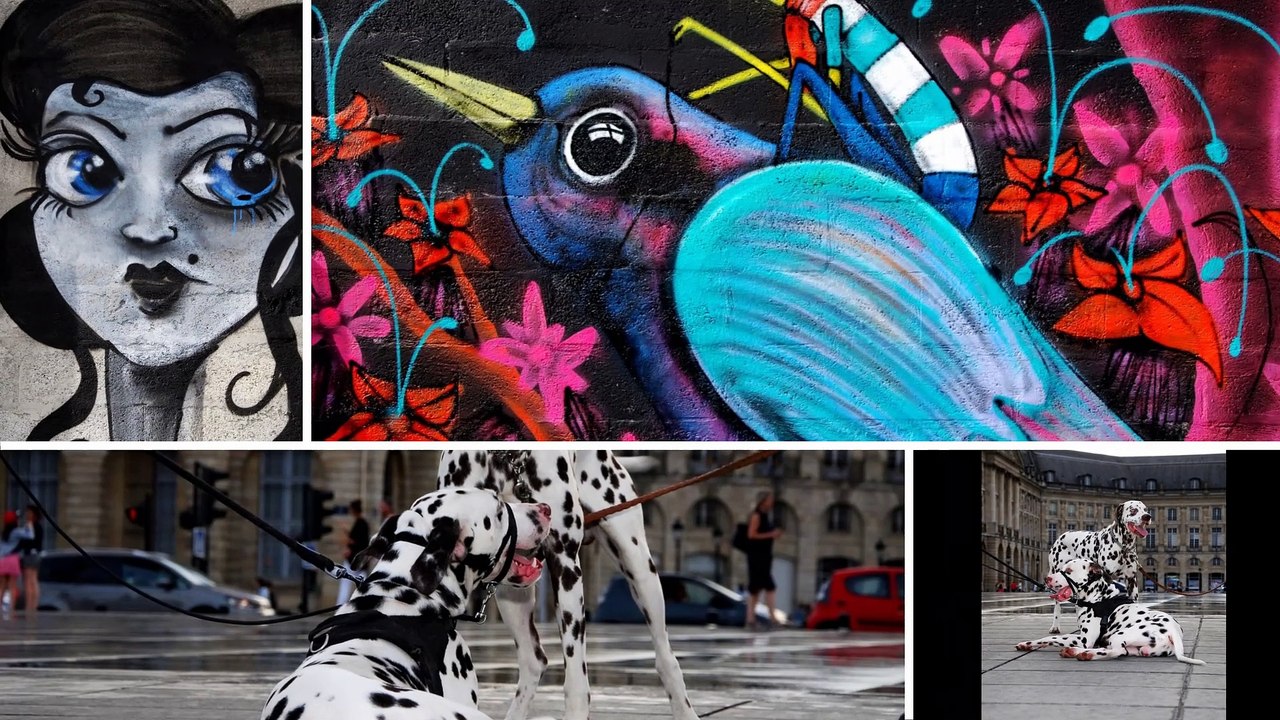 Bordeaux France the photo book Vol 4 Chris Summerfield Travel Photography