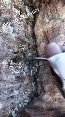 Rock climber shows their spectacular view looking down!