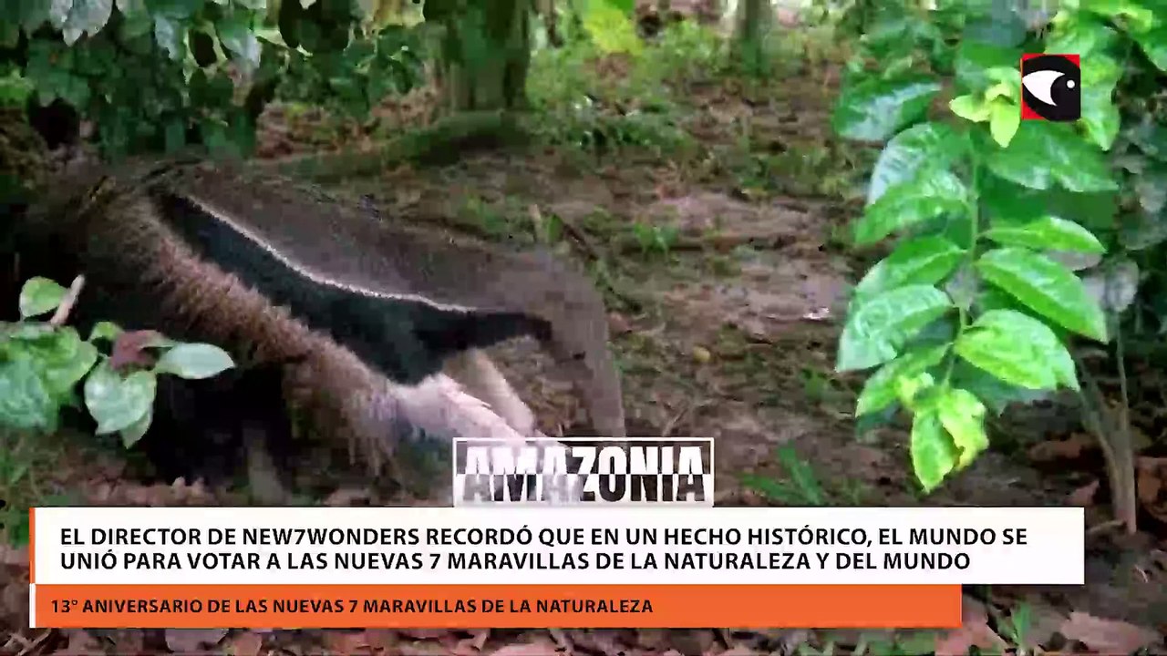 El director de New7Wonders recordó que en un hecho histórico, el mundo se unió para votar a las Nuevas 7 Maravillas de la Naturaleza y del Mundo