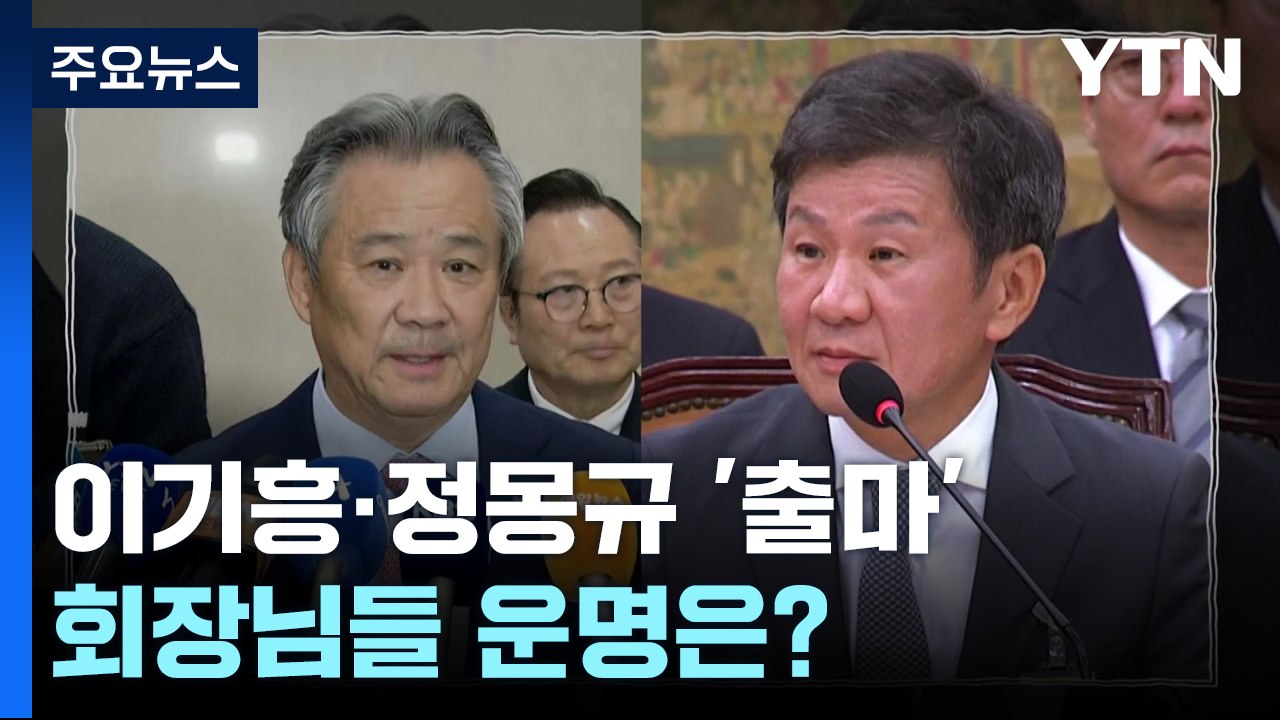 싸늘한 팬심에도 '마이 웨이'...회장님들 운명은? / YTN