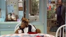 ALF 03x12, Crees en la Magia