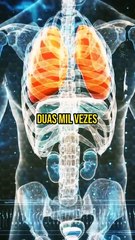 Benefícios da creatina