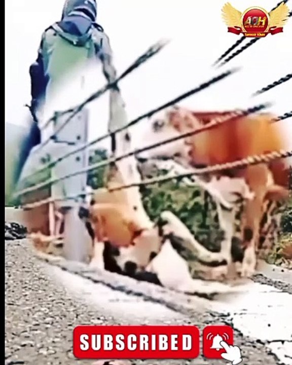 Kindness And Humanity Is Still Alive💯👍😍💞💖