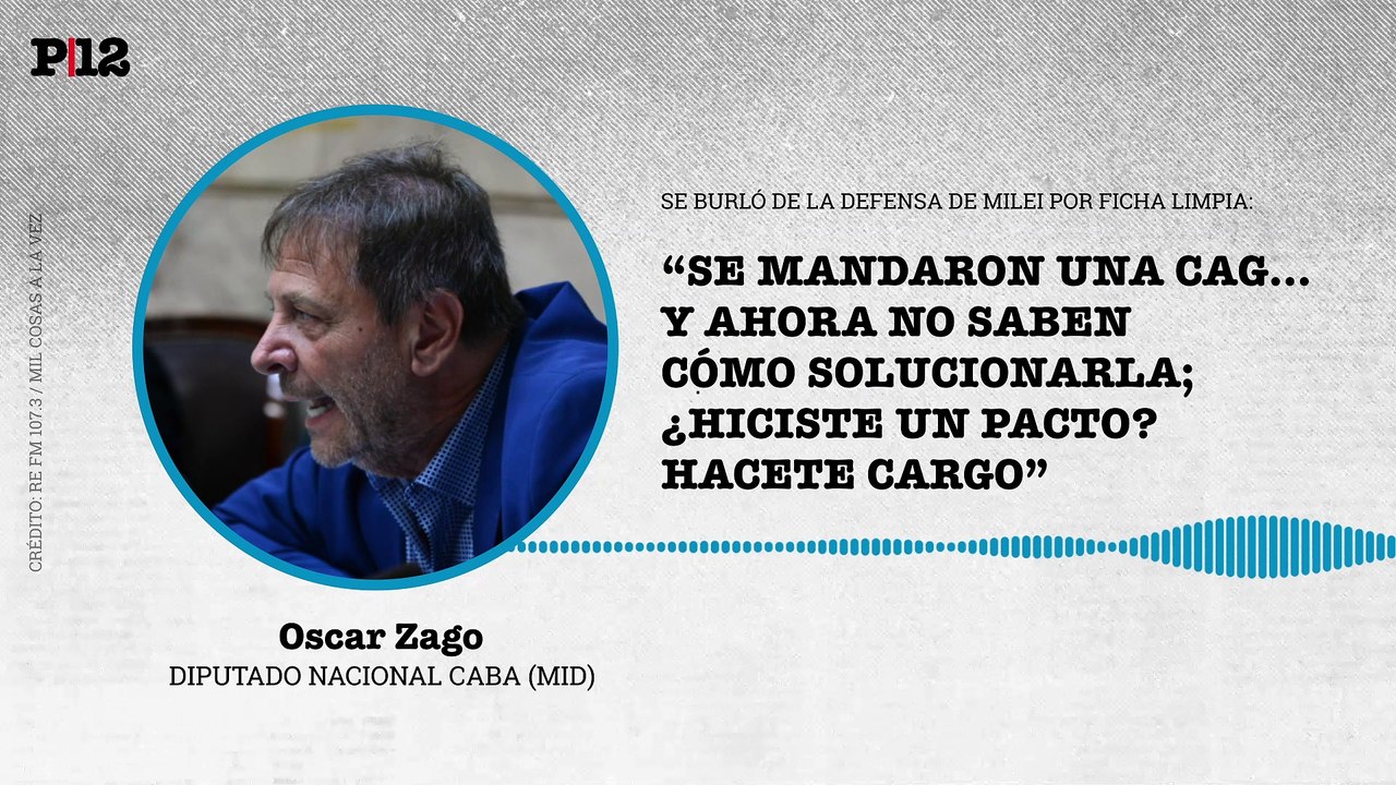 "Si hiciste un pacto, hacete cargo": Zago disparó a LLA, Milei y diputados del PRO por la caída de la Ficha Limpia