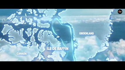 ARCTIQUE l'océan blanc - Lundi 02 décembre sur France 5 THALASSA