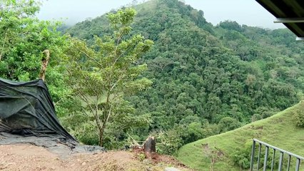 tn7-trabajador auxilio a victimas de accidente-291124