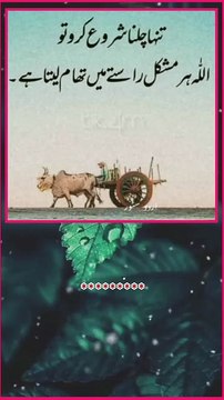 کوئی بھی سدا اس دنیا میں نہیں رہنے والا ، تو جب تک زندگی ہے کسی کے ہمدرد بن جاؤ ، اگر ہمدرد نہیں بن سکتے تو اتنی کوشش کرو کہ کسی کو کوئی درد نہ دو کیونکہ وقت کی گاڑی کا کوئی بھروسہ نہیں ، کب اپکو آپکے اسٹیشن پر اتار دے ۔ ❣️❣️❣️❣️❣️❣️❣️❣️❣️❣️❣️❣️ #سبحان__