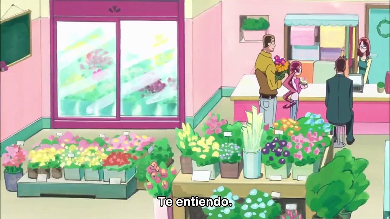 [Sub Esp] Heartcatch Precure! - Episodio 12
