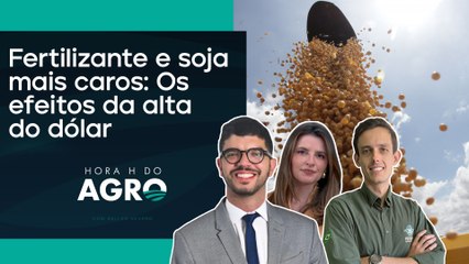 Dólar dispara e o agro sente os impactos | HORA H DO AGRO