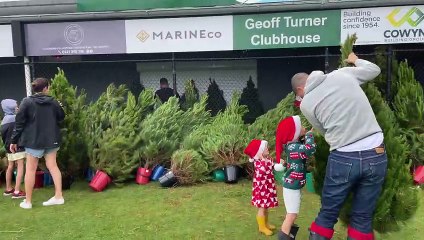 Levi's Project Christmas Trees