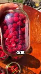 Top 5 Cancer Prevent Foods..! 😱😳