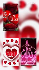 lv_7440143865564171537_20241130082807