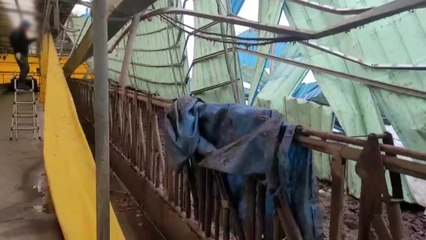 폭설에 무너진 축산농가...아래 갇힌 소 / YTN