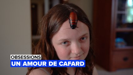 Obsessions : sa chambre est remplie de cafards