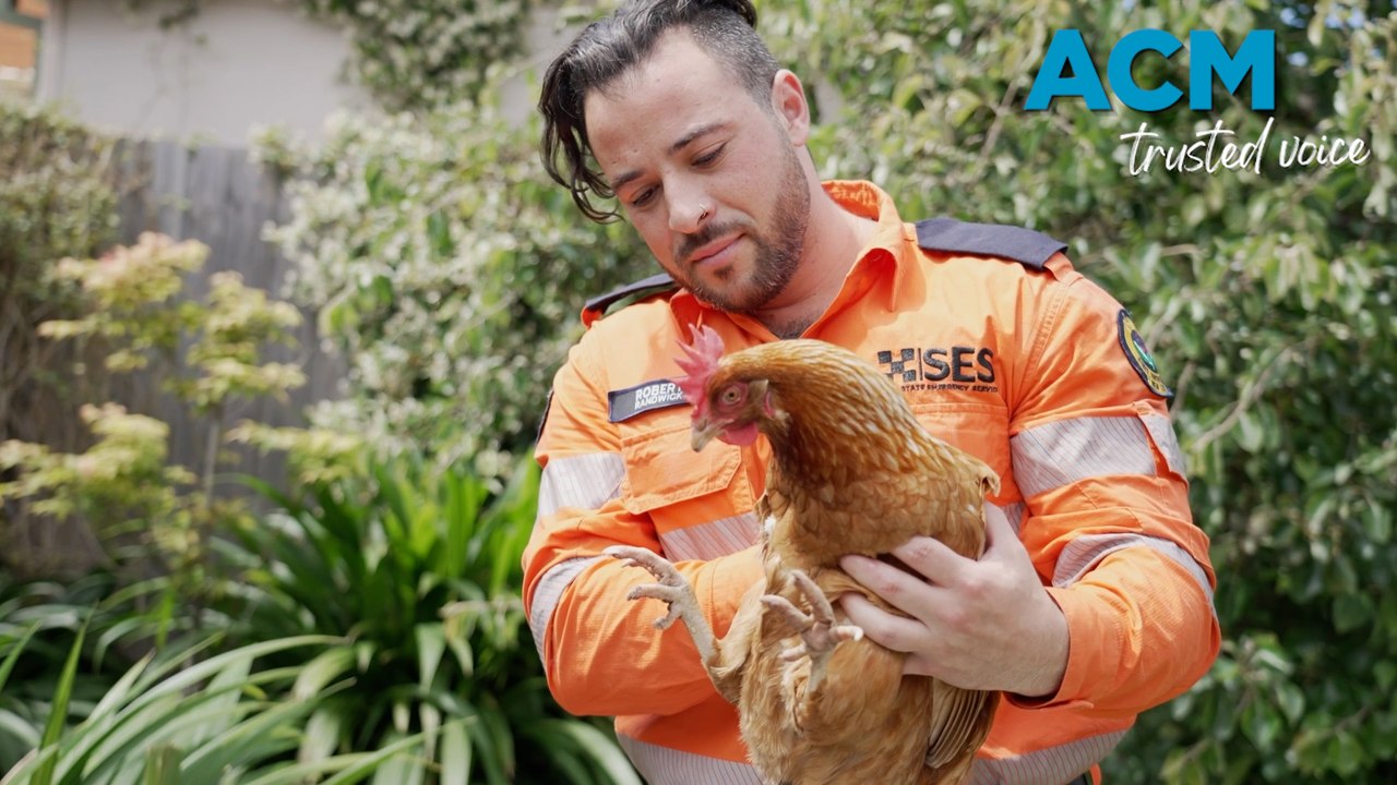Prepare your animals for storms