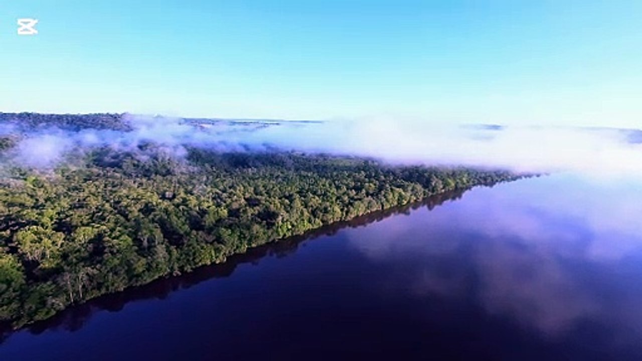 Sungai Amazon