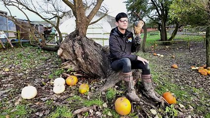 Inside Blackpool's quirkiest animal sanctuary with monkeys and skunks