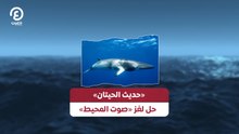 «حديث الحيتان» .. حل لغز صوت المحيط