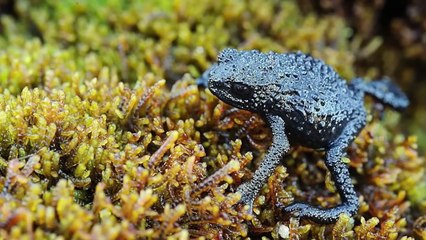 15 MOST Mysterious Landforms