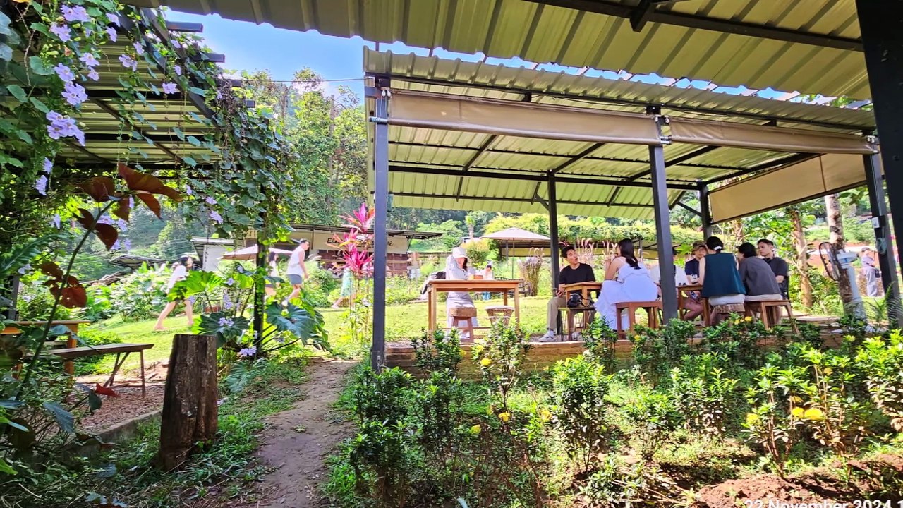 Commercial Elefin Cafe, Cypress Lane, and Art Shops - Chiang Mai