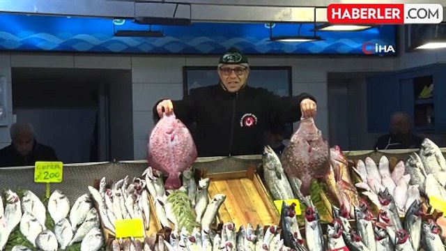 Kocaeli'de Balık Tezgahları Çinekop ve Hamsi ile Şenleniyor