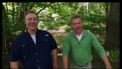 Watch Wild Kratts Salamander Full Episode 🦎 Streaming Now