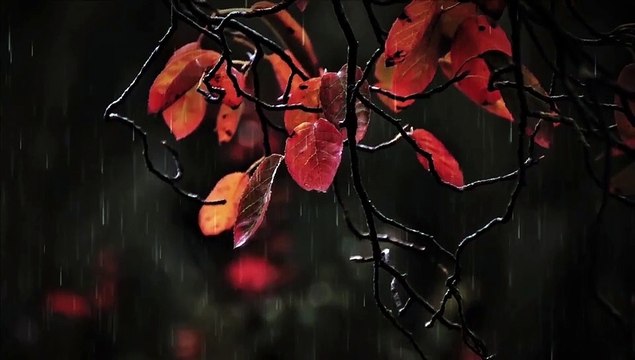 Surah Yaseen Ki Tilawat l Surah Yaseen Recitation l Beautiful Tilawat l Surah Yaseen Recitation lsurah yaseen recitation beautiful l Surah Yasin Recitation l Lofi Quran Recitation For Sleep l Surah Yasin (2)