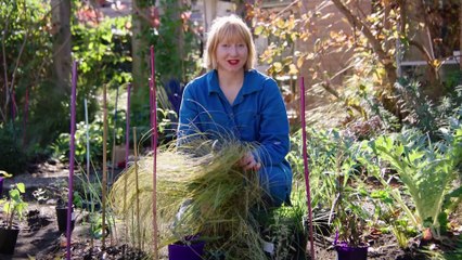 Gardening Australia 2024 Episode 36